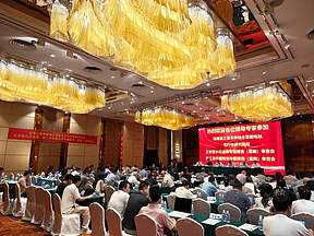 海南三亚羊林抽水蓄能电站“三大专题”报告顺利通过审查