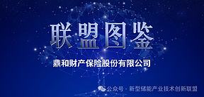 联盟图鉴 | 鼎和财产保险股份有限公司（能源强国·点绿成金）