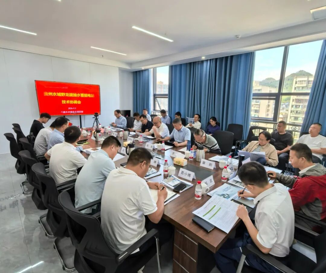 贵州水城野龙拢抽水蓄能电站技术协调会.jpg