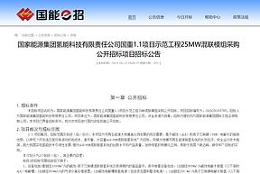 国家能源集团采购5000Nm³/h碱性+PEM混联制氢系统 国家能源集团采购5000Nm³/h碱性+PEM混联制氢系统