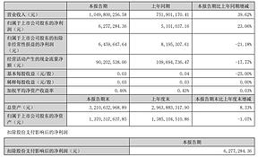 光伏電站收入暴增336%！英力股份2025年半年報(bào)公布