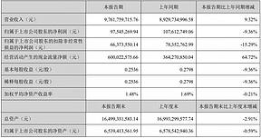 德赛电池2025年上半年净利润同比下降9.36% 德赛电池2025年上半年净利润同比下降9.36%