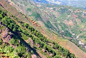 中标2.3亿，特隆美子公司昆仑电力连中四项云南光伏重点工程