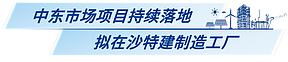 中标沙特164亿元订单 特变电工国际业务加速前进 中标沙特164亿元订单 特变电工国际业务加速前进