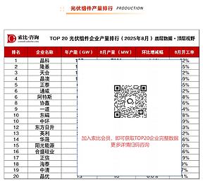 強(qiáng)者恒強(qiáng)，分化加劇——索比咨詢(xún)TOP20光伏組件企業(yè)產(chǎn)量排行榜（2025年8月）