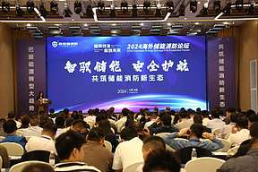 汇聚全球视野：2025海外储能消防论坛10月重磅开启