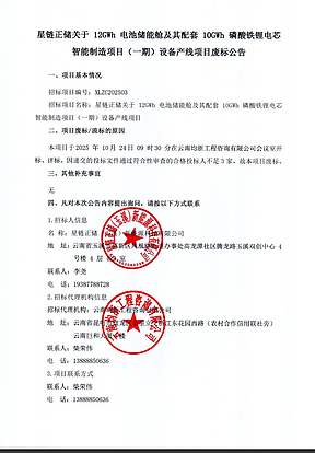 10GWh电芯项目废标！星链正储发布12GWh储能舱及10GWh电芯项目废标公告