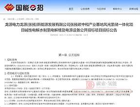订单！国家能源集团采购12台<b>方形</b><b>电解槽</b>