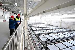 铅碳技术成储能新选择！国内规模最大电网侧铅碳储能电站在宁并网