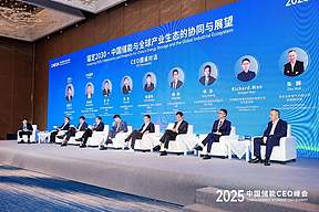 天合储能杨豹：以本地深耕与光储协同， 构筑储能稳健发展之路