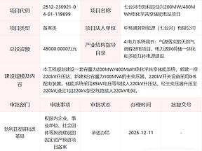 七台河市勃利县任兴200MW/400MWh电化学共享储能电站项目
