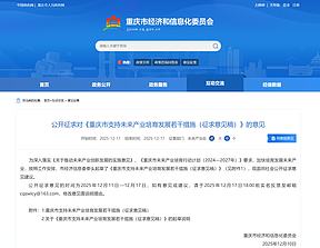 最高5000万元！重庆发布15条氢能等未来产业支持政策