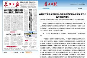 武汉“十五五”规划建议：持续推进氢化长江建设