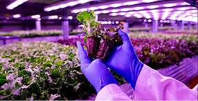 锚定科技“四极”导向，科路驰＆跃东共拓“储能＋农业”新赛道