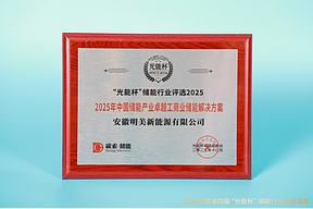 实力绽放！TWS明美新能源获“光能杯”2025年中国储能产业卓越工商业储能解决方案