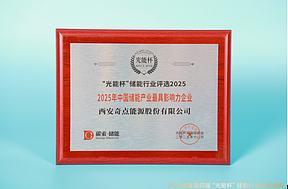 荣耀不断！奇点能源获“光能杯”2025年中国储能产业最具影响力企业