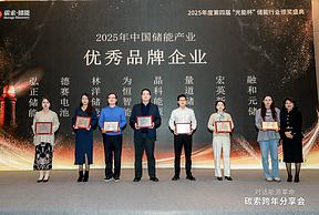 荣耀时刻｜林洋储能荣获光能杯2025年中国储能产业优秀品牌企业！