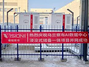 携手互联网巨头，雄韬股份AIDC浸没式储备一体项目成功并网！