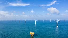 国家电投集团与德国巴斯夫集团举行工作会谈