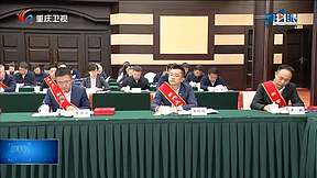 喜讯丨海辰储能王鹏程荣膺“新重庆贡献奖提名奖” 并发言