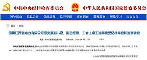 国网江西省电力公司原党委副书记、副总经理被查