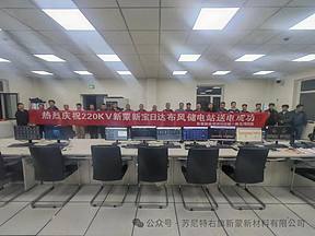 内蒙古新蒙新能源科技有限公司源网荷储一体化项目成功并网