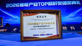 星星充电荣膺“微电网品牌TOP1”，定义全球微电网产业新高度