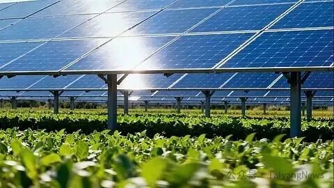 Solar panels, Agrivoltaics