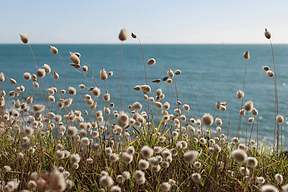 共拓能源新格局!上能电气与贵州电建签署战略合作协议 共拓能源新格局!上能电气与贵州电建签署战略合作协议