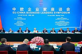 亮点！中欧企业家座谈会上，这10家企业已重点布局氢能