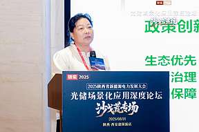 甘肅自然能源研究所杜玉娥博士：技術(shù)革新引領(lǐng)綠色革命，光伏治沙開(kāi)啟生態(tài)共贏(yíng)新時(shí)代