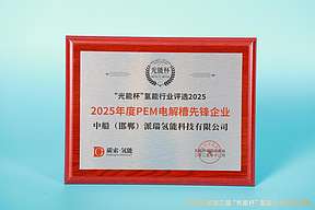 荣耀加冕！派瑞氢能荣获“光能杯”2025年度“PEM电解槽领军企业”奖